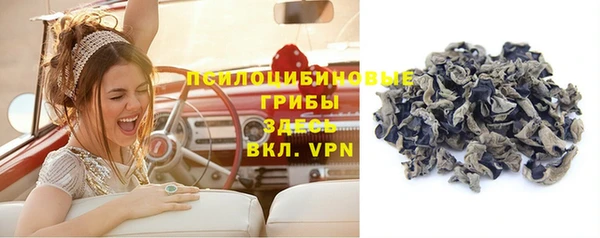 гашик Армянск