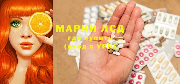 стаф Аркадак