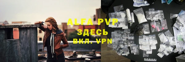 стаф Аркадак