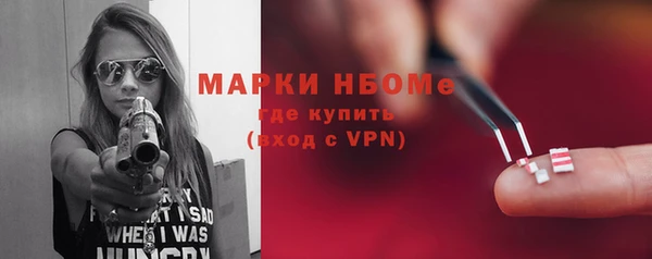стаф Аркадак