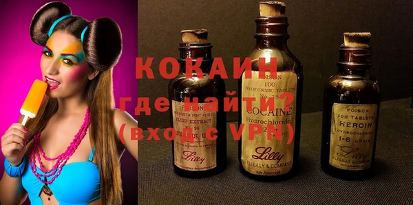 стаф Аркадак