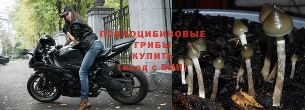 гашик Армянск