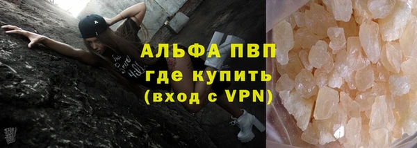 дживик Арсеньев