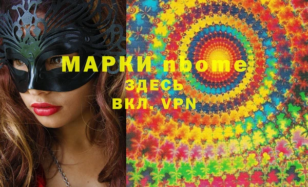 стаф Аркадак